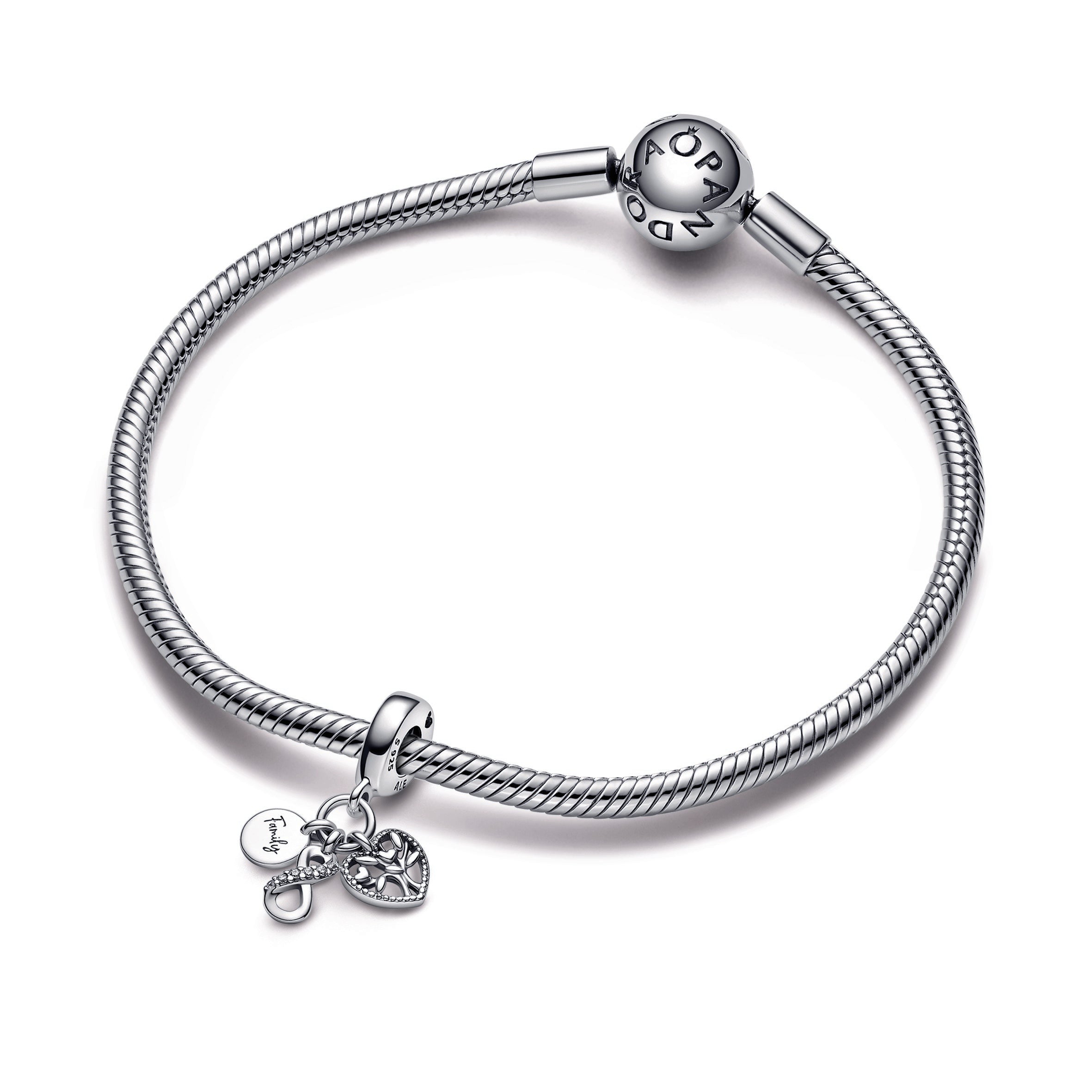 Family Infinity Triple Dangle Charm