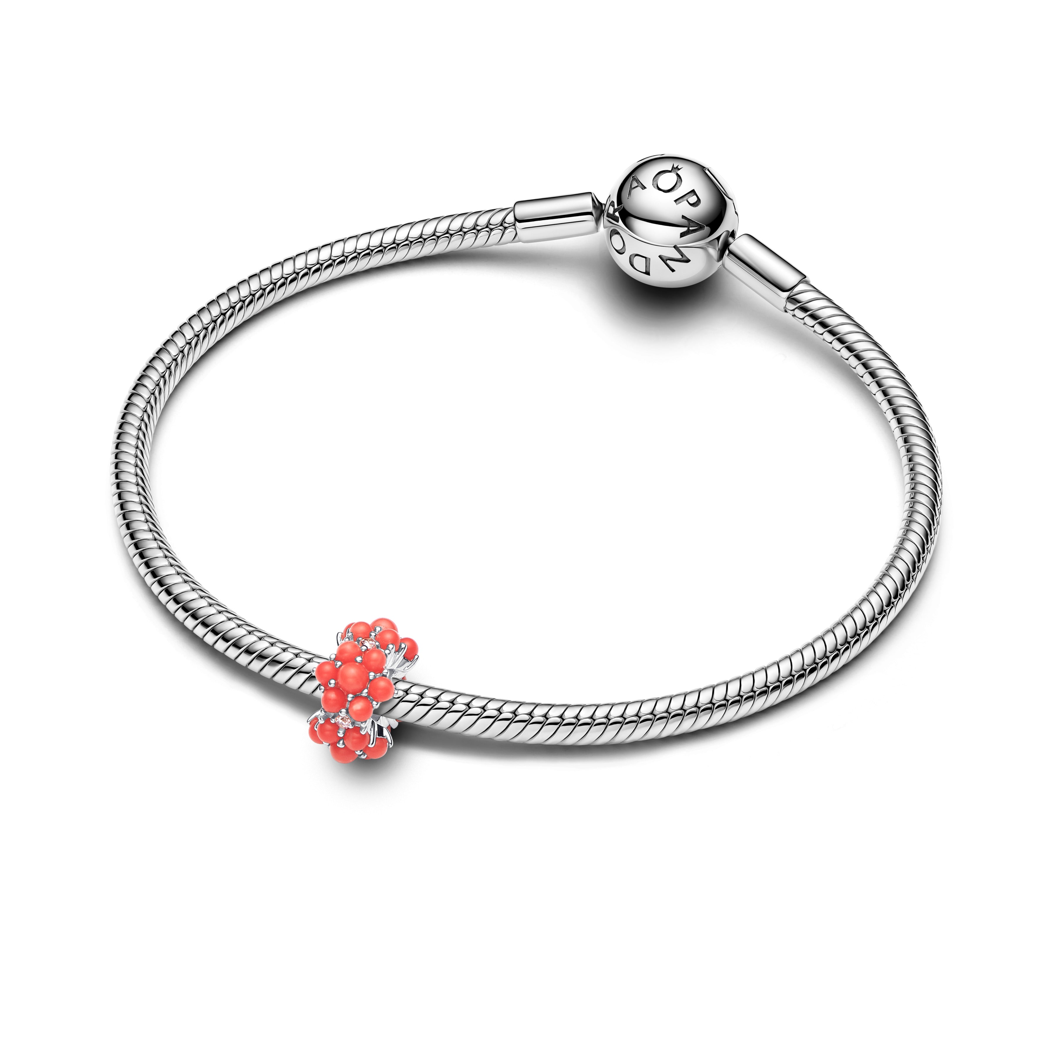 Coral-colored Ocean Charm