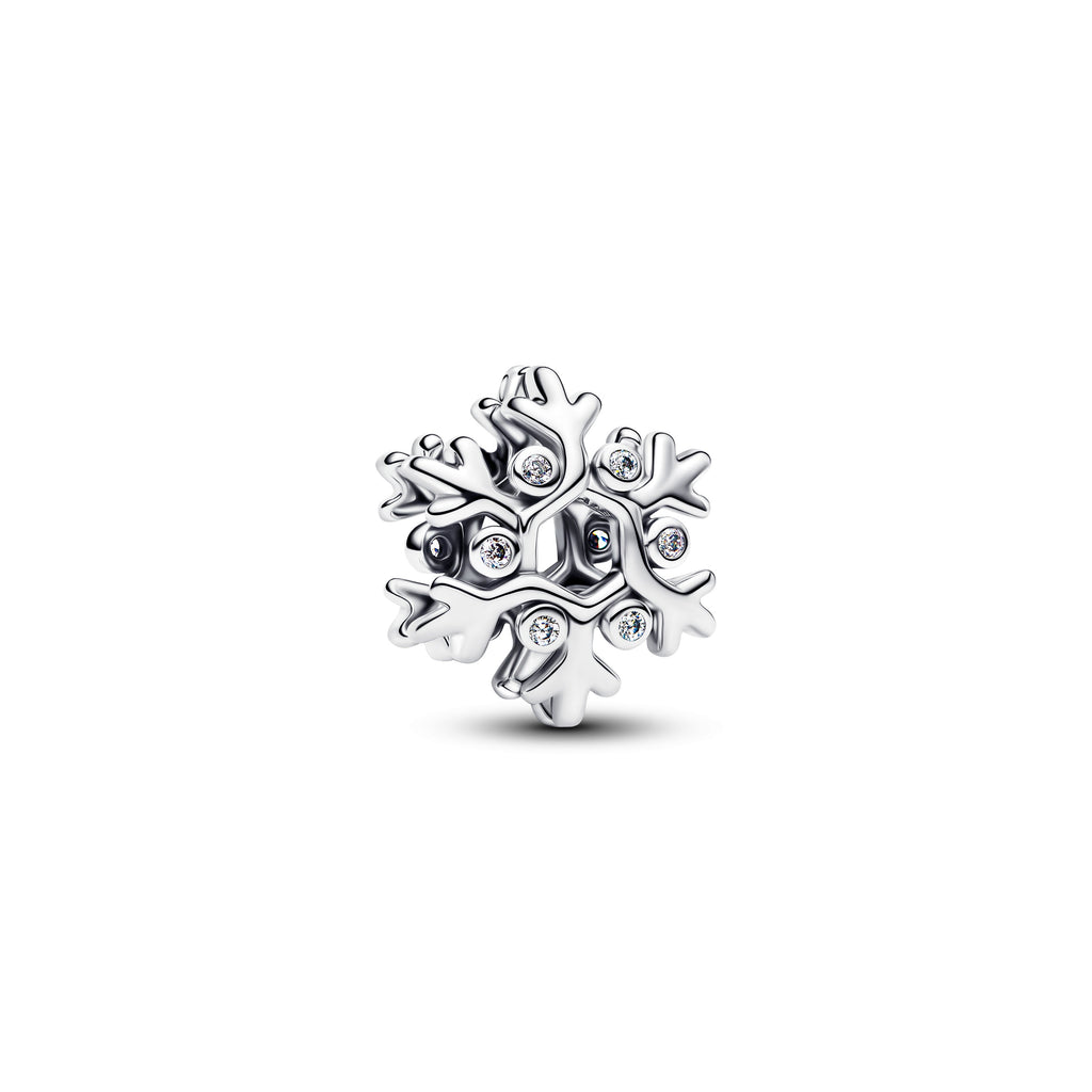 Snowflake Charm